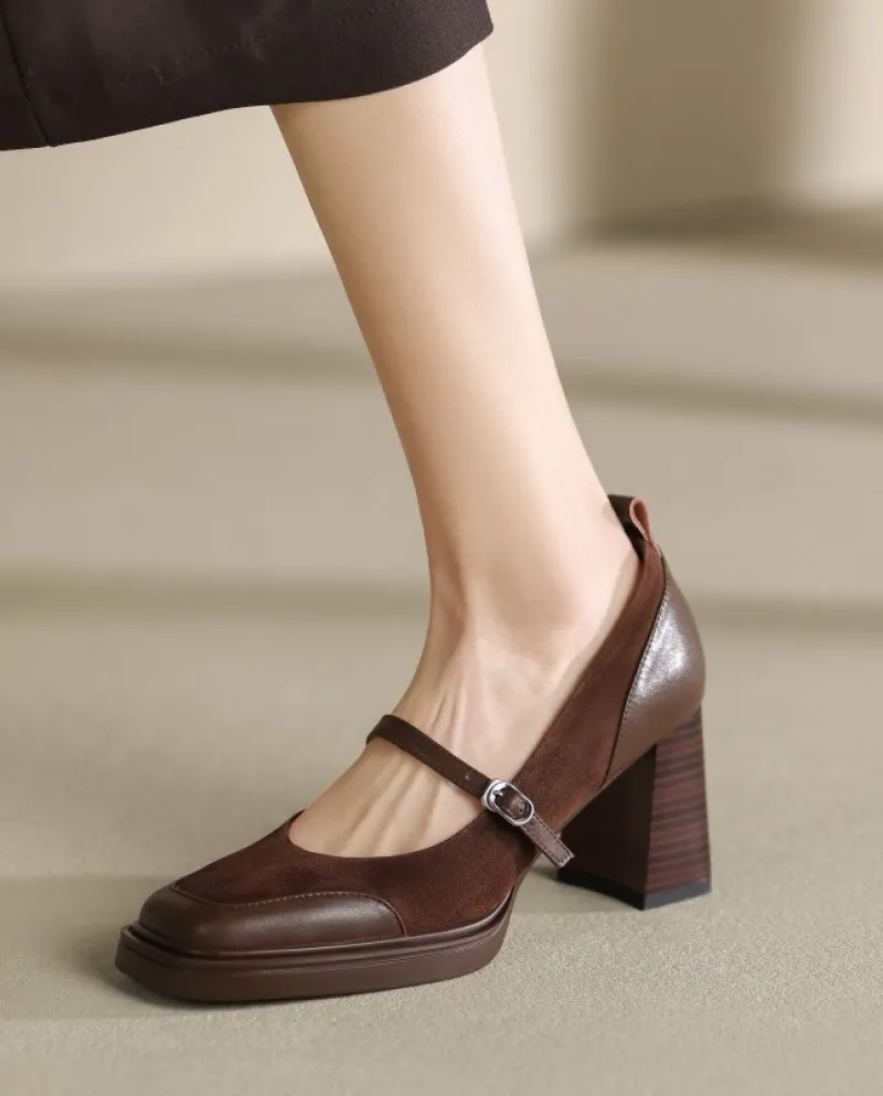 French Retro Brown One-strap Mary Jane Small Leather Shoes New Year Square Toe Thick Heel High Heels For Women